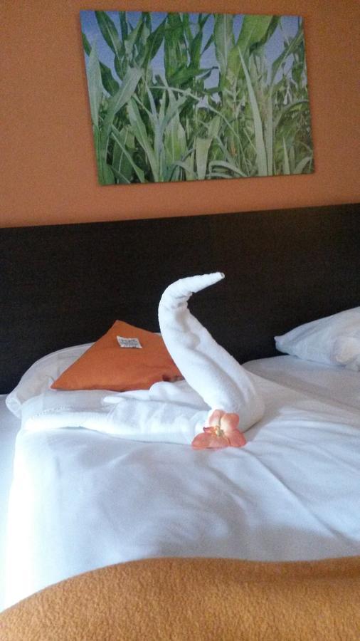 Kh Hotel Mit Restaurant Geisenfeld Extérieur photo